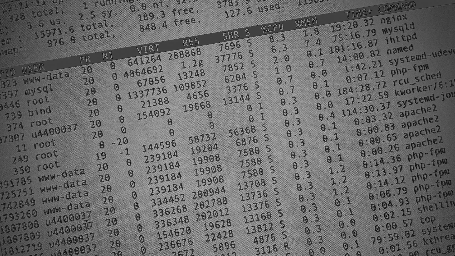 Настройка сервера в Рязани